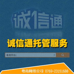 网站推广 旺铺装修 诚信通托管 详情页设计