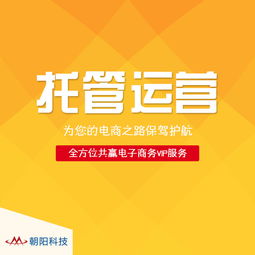 阿里诚信通代运营 网店托管 关键词seo优化 活动策划一条龙服务
